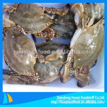 Vendedores de mariscos azul natación cangrejo